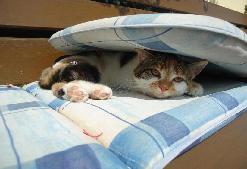 غرفة قياسية ثلاثية مزودة بشرفة, Pension Greimelbacherhof