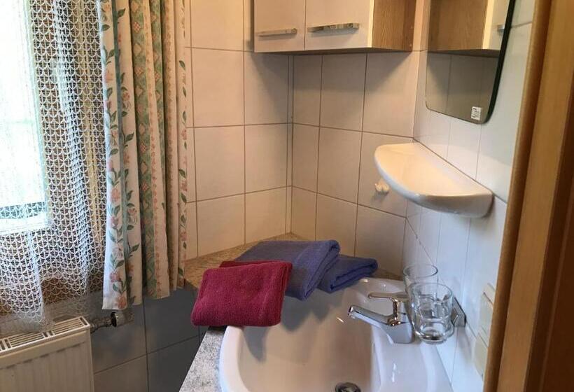 غرفة قياسية فردية, Pension Greimelbacherhof