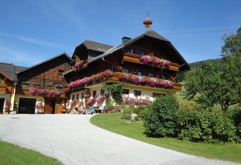Номер Стандарт Индивидуальный, Pension Greimelbacherhof