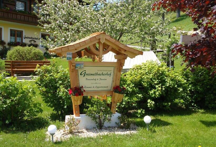 غرفة قياسية فردية, Pension Greimelbacherhof