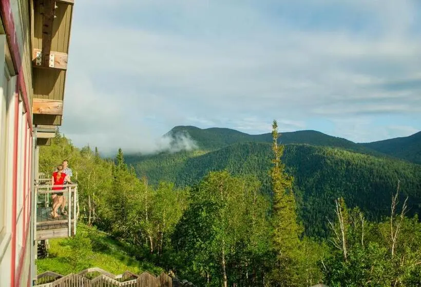 キングサイズベッドのスーペリアルーム, Auberge De Montagne Des Chic Chocs Mountain Lodge Sepaq