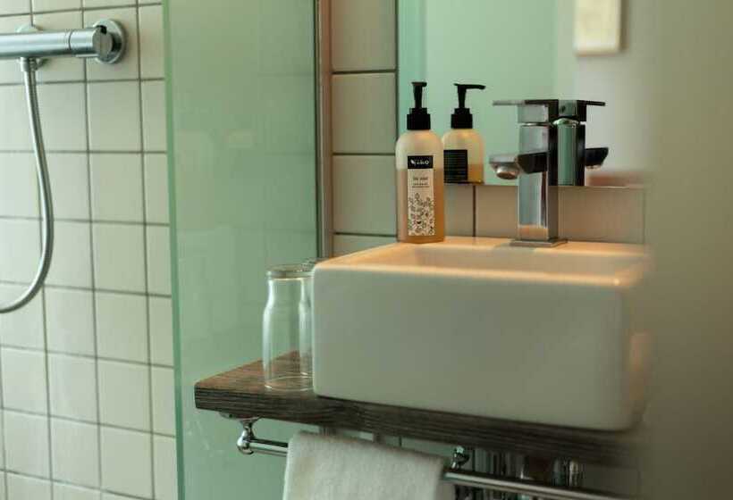 اتاق استاندارد, Siglunes