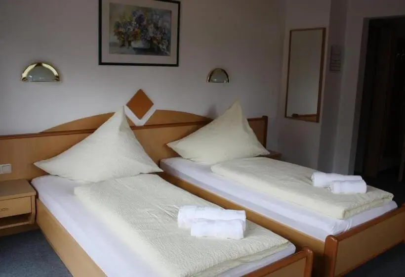 اتاق استاندارد, Pension Sattelkopf