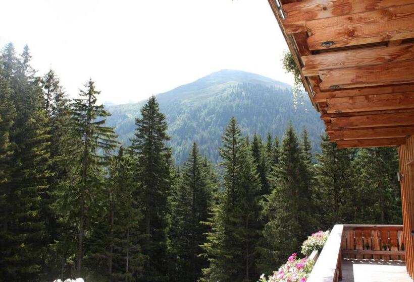 Номер Стандарт, Pension Sattelkopf