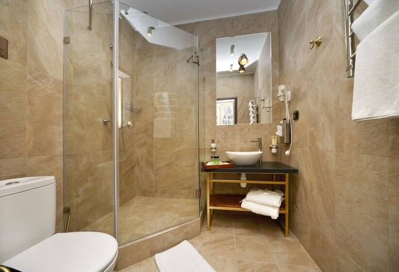 חדר סטנדרט, Boutique Hotel Chemodanov