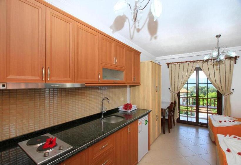 １ベッドルームアパートメント, Deger Apart