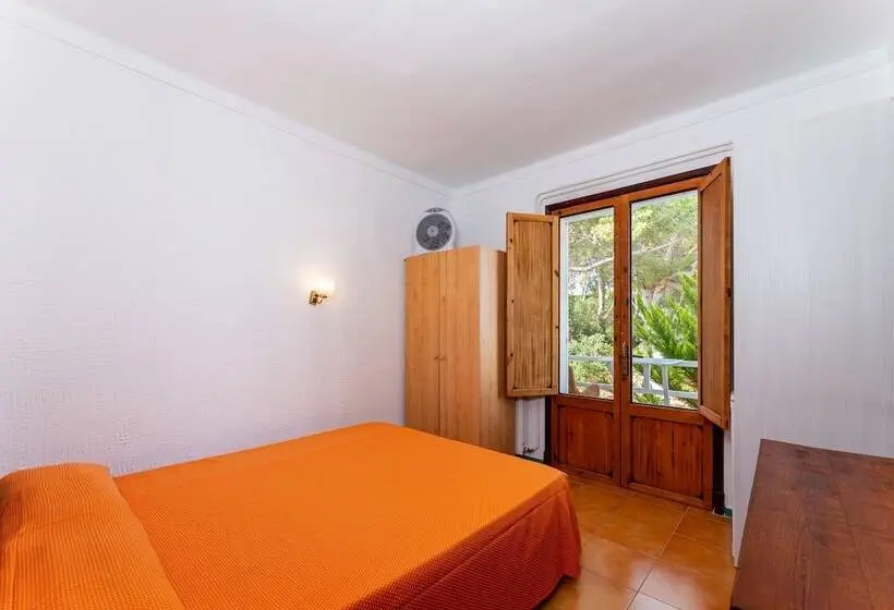 スタンダードシングルルーム, Hostal Residencia San Francisco