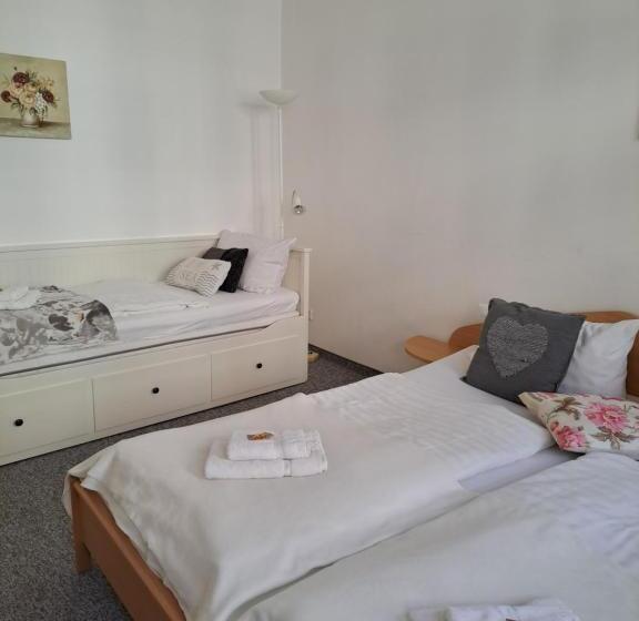 带1个卧室的公寓, Altstadtcafé Und Pension