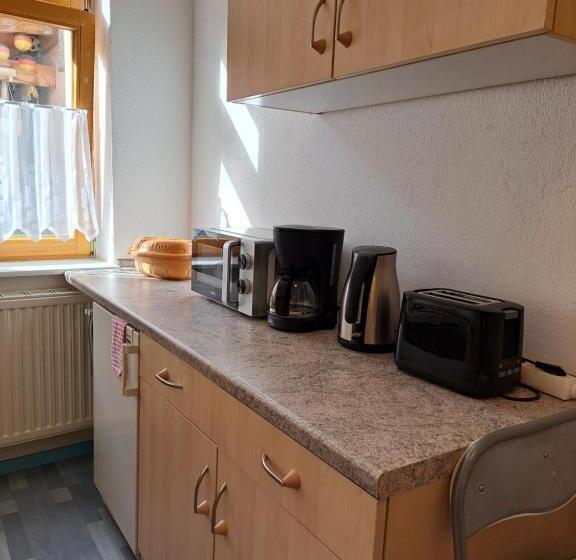 带1个卧室的公寓, Altstadtcafé Und Pension