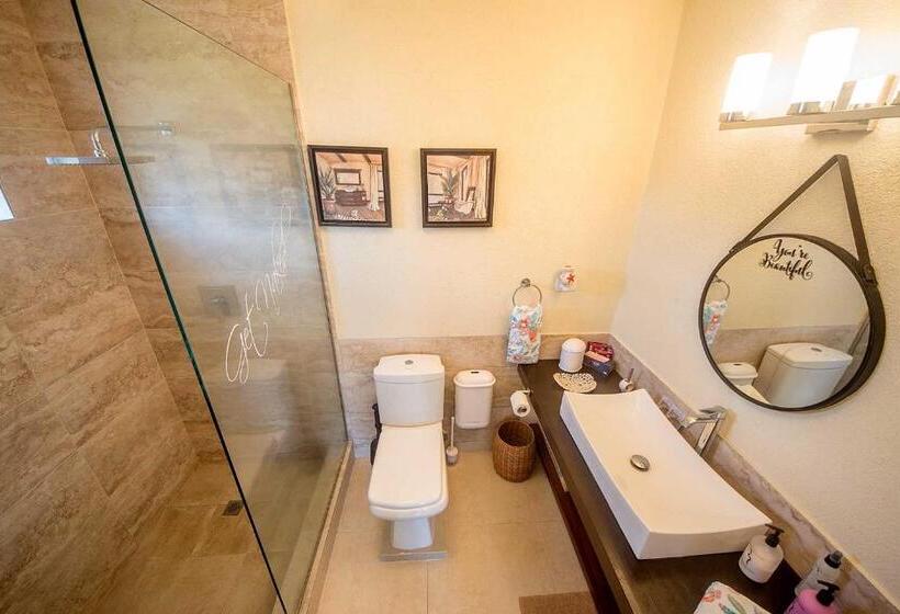 اتاق لوکس با تخت بزرگ, Hidden Gem Barbados