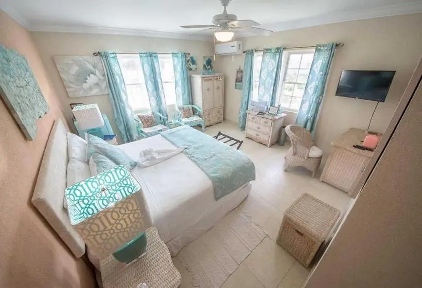 اتاق لوکس با تخت بزرگ, Hidden Gem Barbados