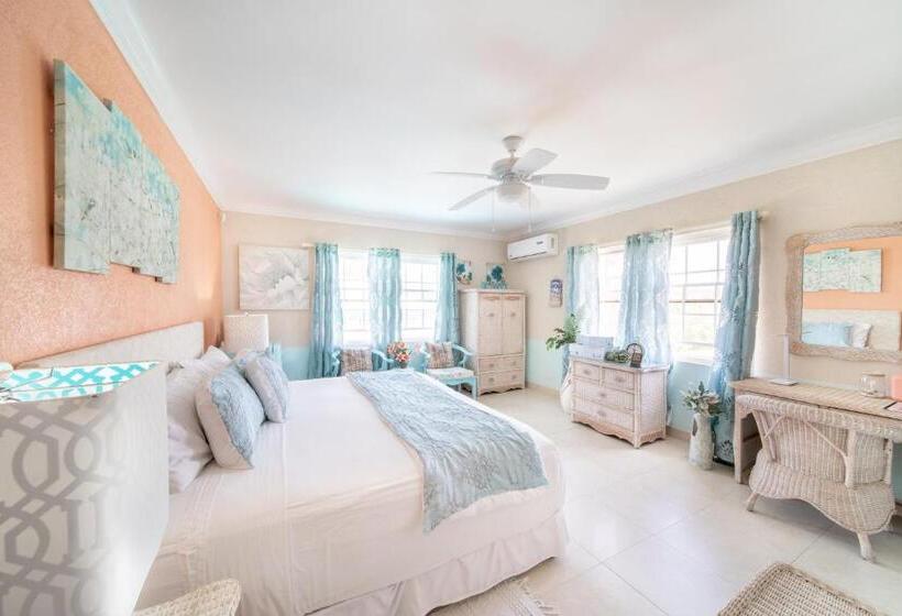 اتاق لوکس با تخت بزرگ, Hidden Gem Barbados