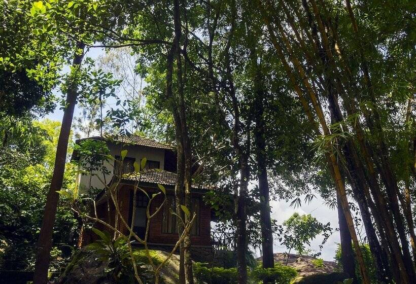 Номер Стандарт Двуспальная Кровать Адаптированный для Инвалидов, Edakkal Hermitage