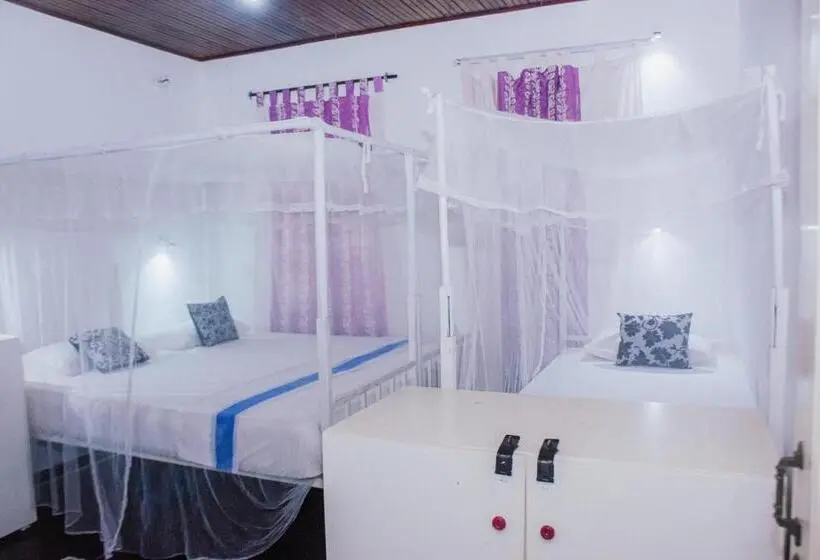 Camera Standard, #bedbox