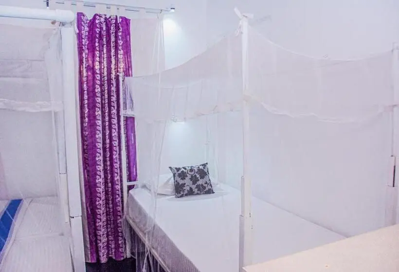 Camera Standard, #bedbox