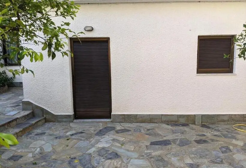 Studio Standard, Omirico