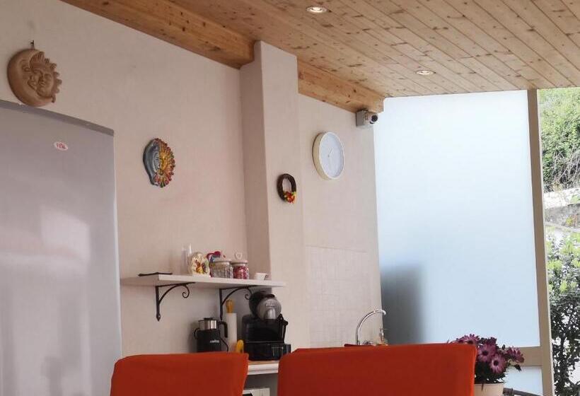 Juniorsvit, Selenebeach B&b