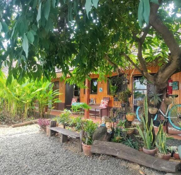 스탠다드 룸, Rim Than View Resort