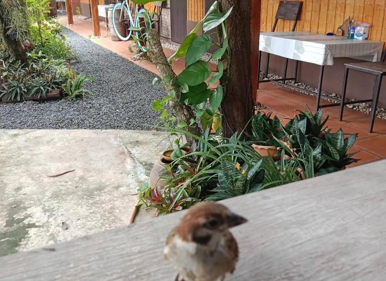 스탠다드 룸, Rim Than View Resort