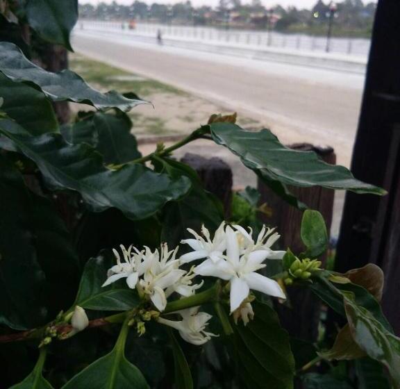 4인용 스탠다드 룸, Rim Than View Resort