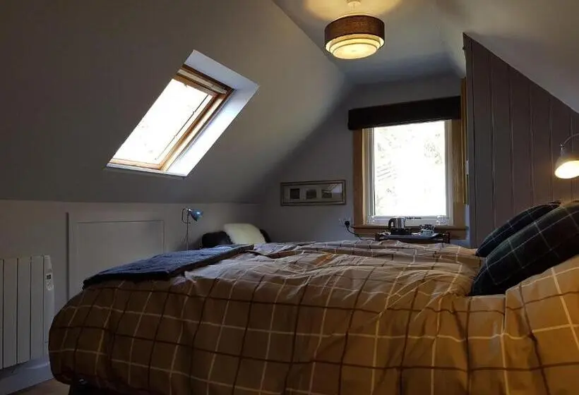 Standard-huone King-vuode, Bungalow 500 Bed And Breakfast