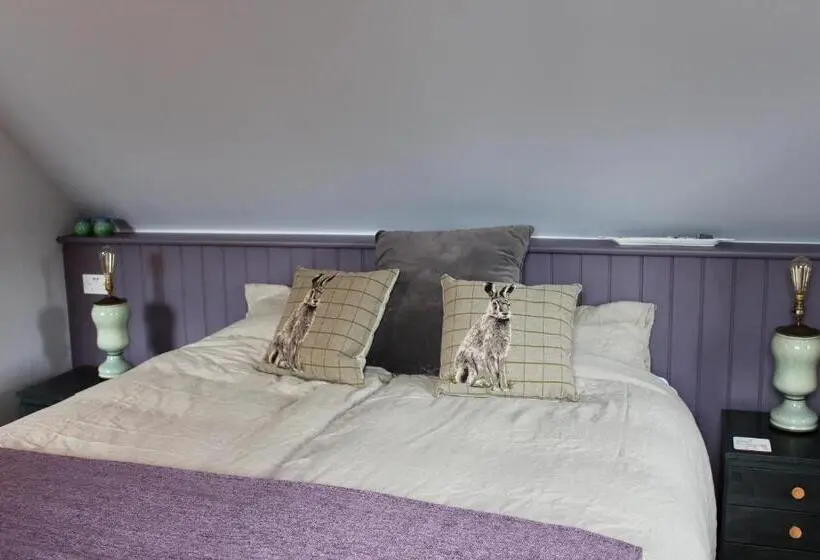 Superior-huone King-vuode, Bungalow 500 Bed And Breakfast