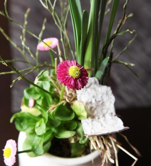 Camera Comfort, Der Bayerische Hof