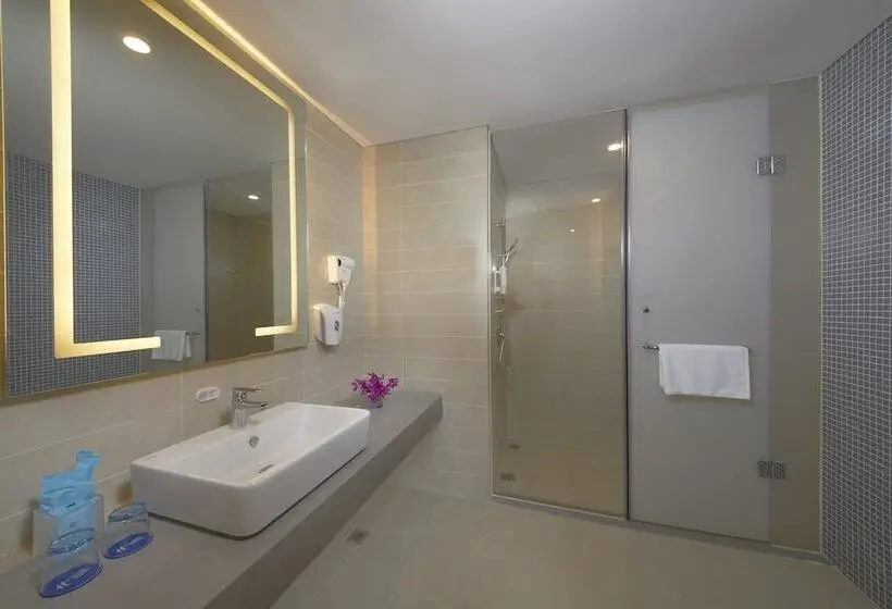 スイート, Holiday Inn Express Zhengzhou Zhengdong, An Ihg