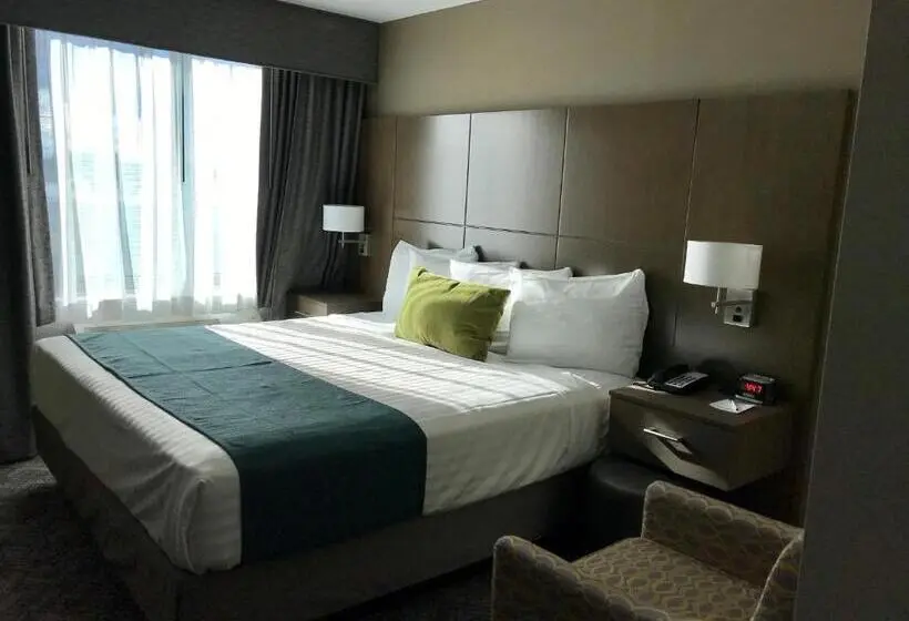 اتاق استاندارد با تخت بزرگ, Best Western Brooklynconey Island Inn