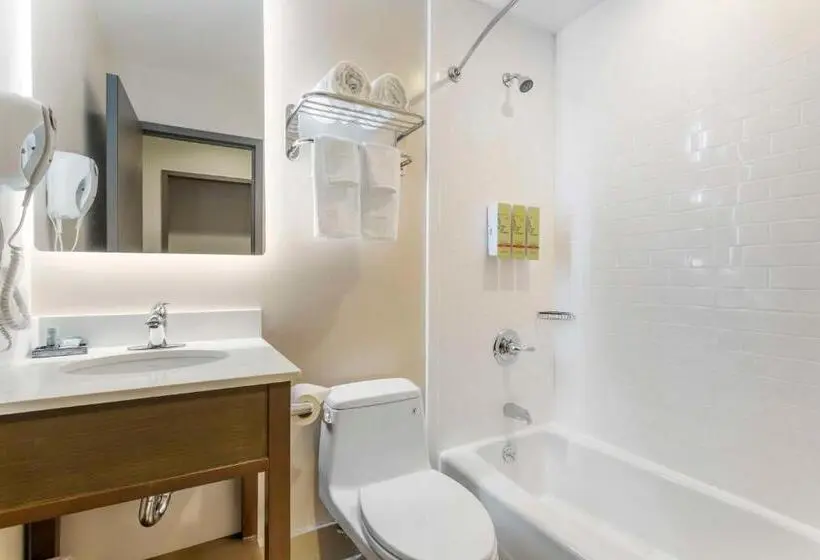 اتاق استاندارد با تخت بزرگ, Best Western Brooklynconey Island Inn
