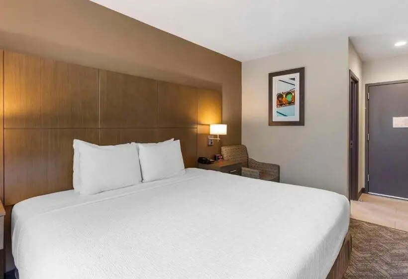 اتاق استاندارد با تخت بزرگ, Best Western Brooklynconey Island Inn