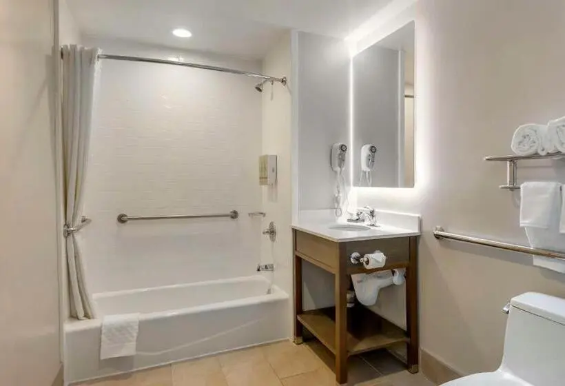 اتاق استاندارد برای معلولان, Best Western Brooklynconey Island Inn