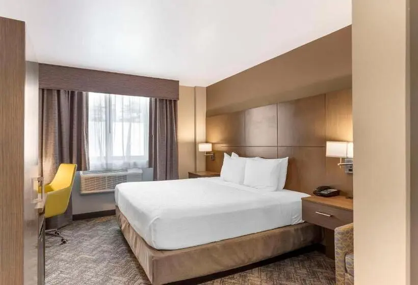 اتاق استاندارد با تخت بزرگ برای معلولان, Best Western Brooklynconey Island Inn