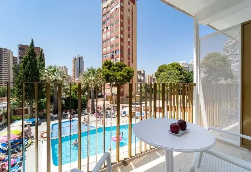 Camera Standard Vista Piscina, Gala Placidia 3* Sup