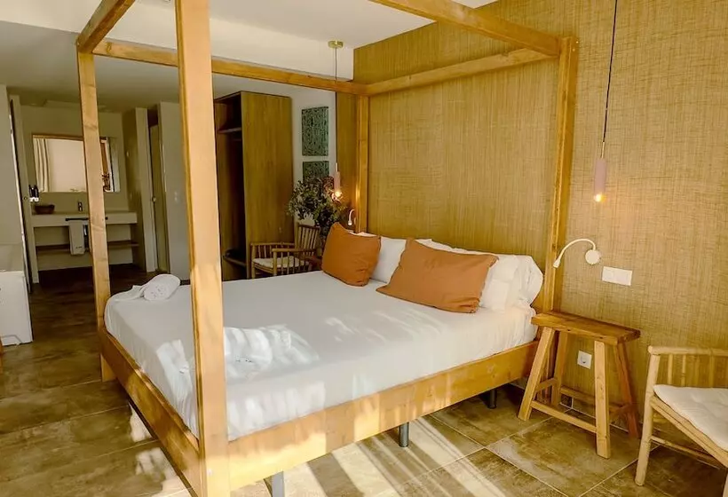 اتاق استاندارد, Icon Valparaiso  Adults Only