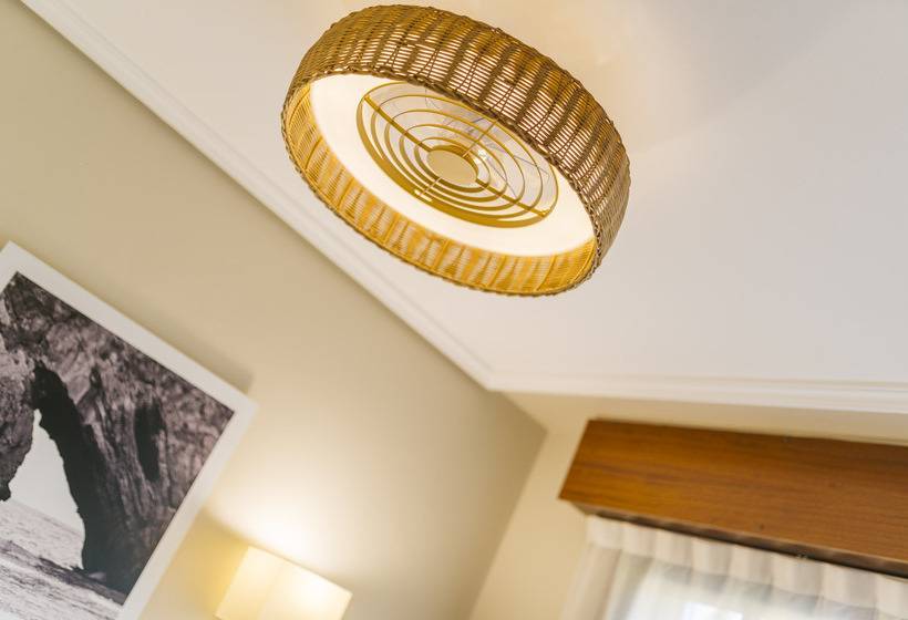 스탠다드 싱글 룸, Miracielos