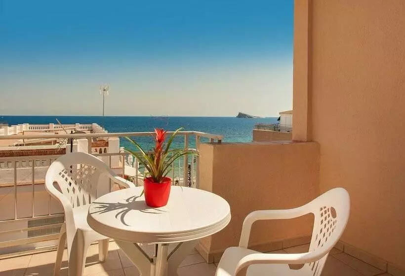 Camera Standard, Rh Sol