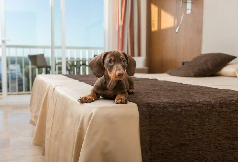 Номер Стандарт с Балконом, Torre Azul & Spa  Adults Only