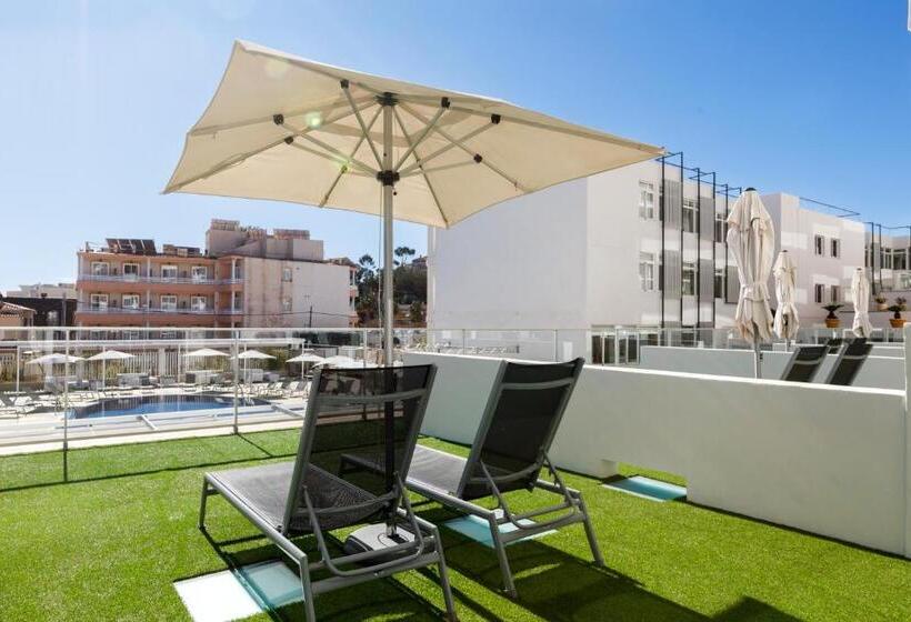 استودیوی سوپریور, Aparthotel y Hotel Paguera Beach