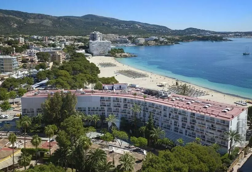 اتاق استاندارد, Zel Mallorca - Adults Recommended