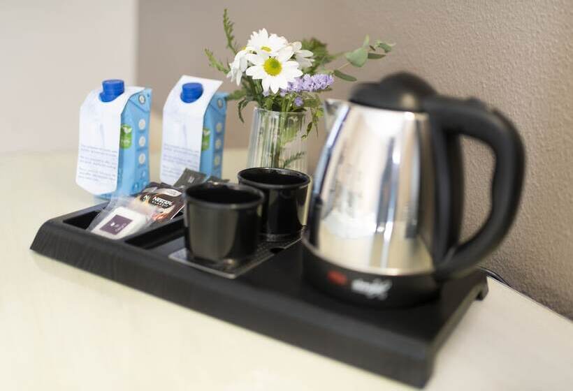 标准单人间, Alboran Algeciras