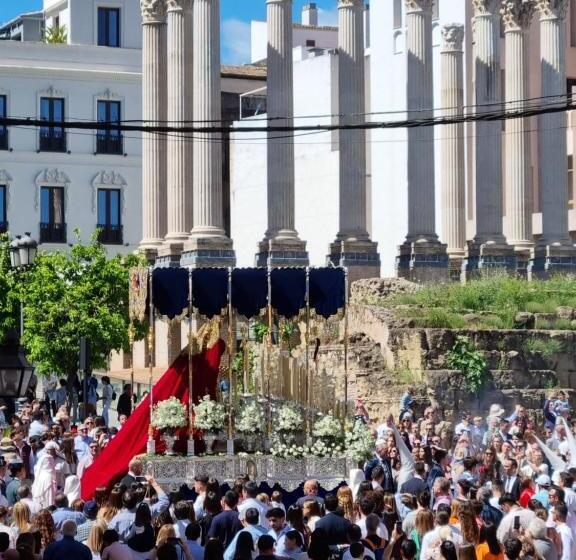 اتاق سوپریور, Gran Plaza