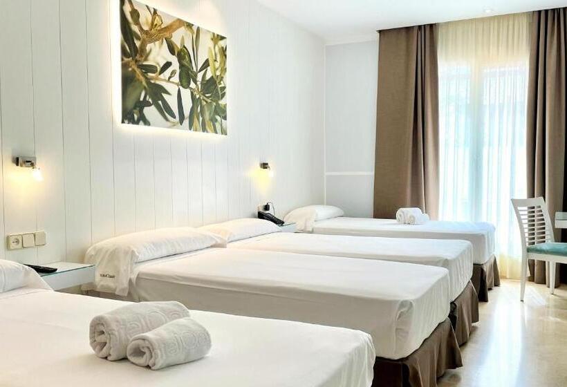 اتاق استاندارد چهار تخته, Oasis