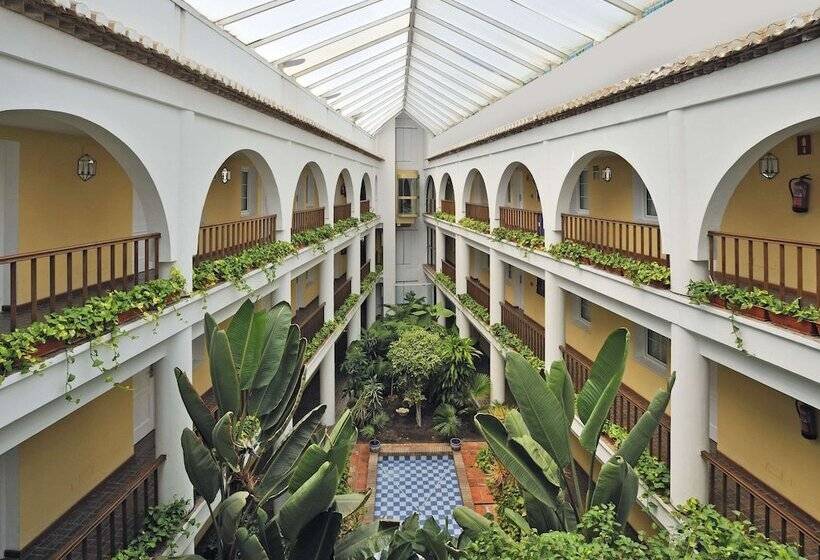 스탠다드 싱글 룸, Sol Los Fenicios