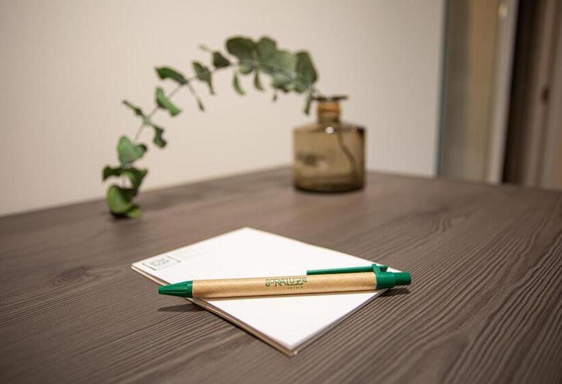 غرفة قياسية, Soraluze Hotela