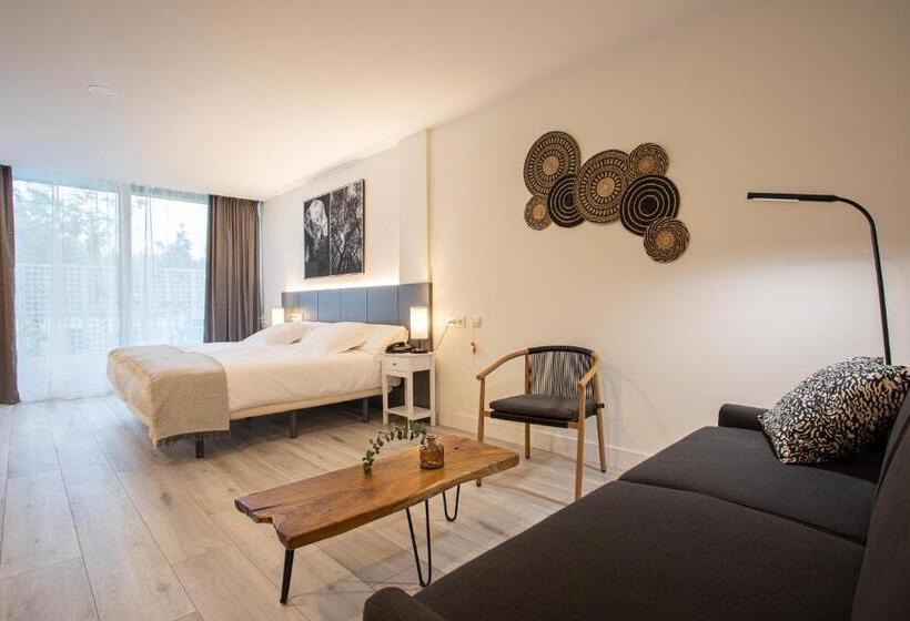 غرفة سوبيريور, Soraluze Hotela