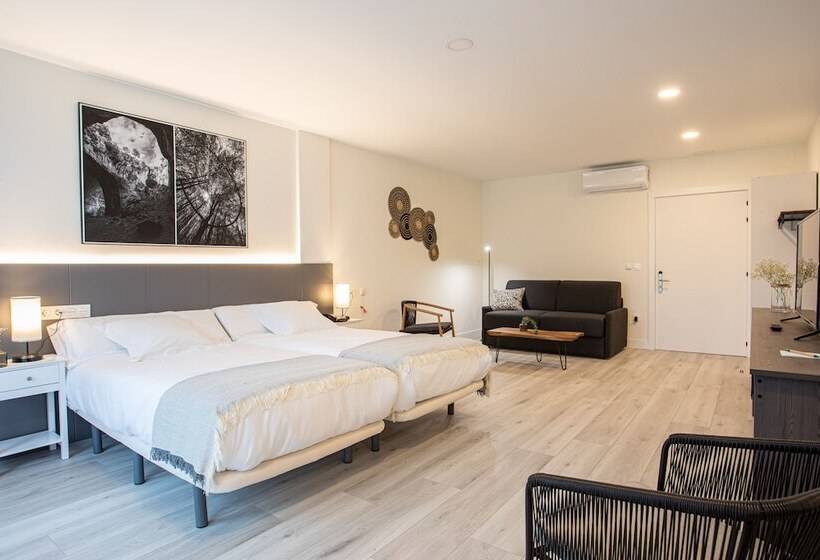 غرفة سوبيريور, Soraluze Hotela