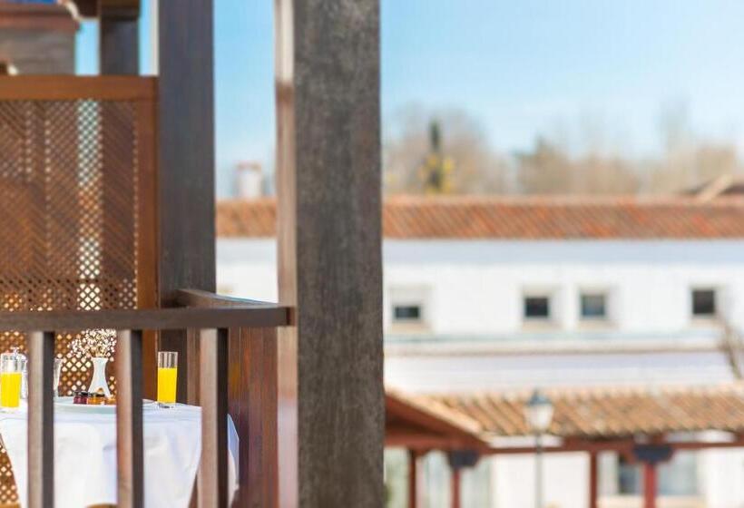 غرفة قياسية, Parador De Manzanares