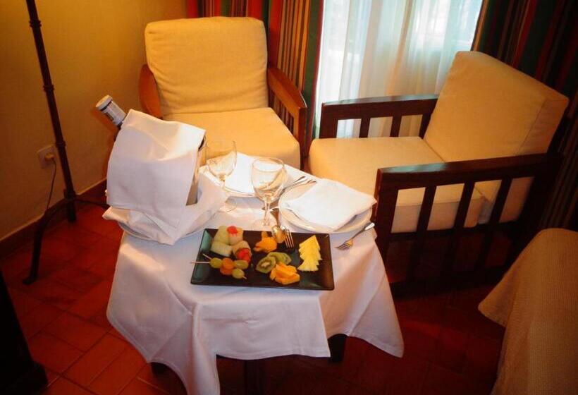 غرفة قياسية, Parador De Manzanares