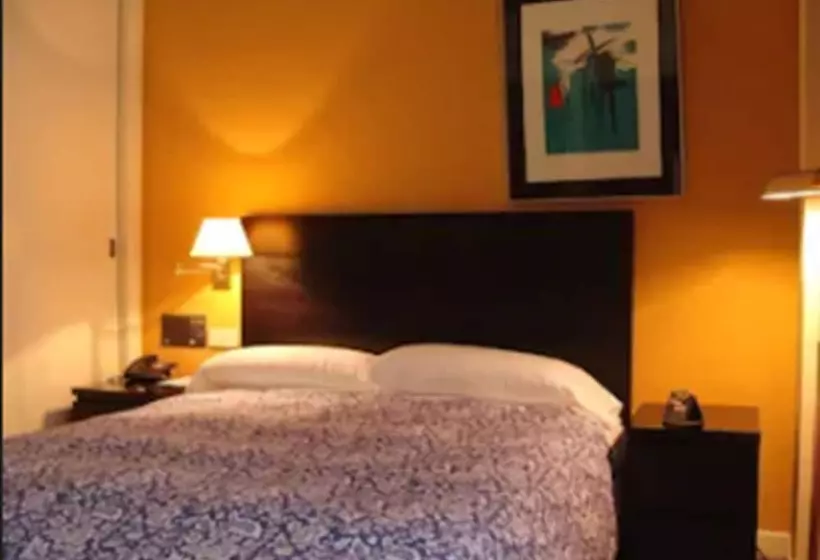 اتاق استاندارد یک نفره, Majadahonda